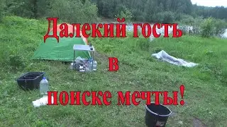Далекий гость в поиске мечты и золота!  Часть первая.