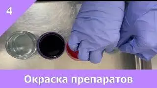 Интраоперационное цитологическое исследование лимфатического узла (приготовление микропрепарата)