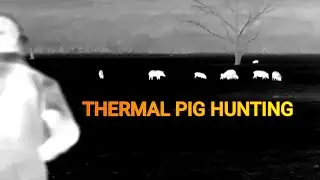 DEAD HOGS - Pig Hunting In Australia