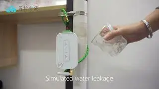 LoRaWAN Water Leak Sensor