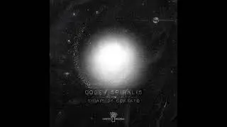 Codex Spiralis - Decoding Reality (vs FishEye)