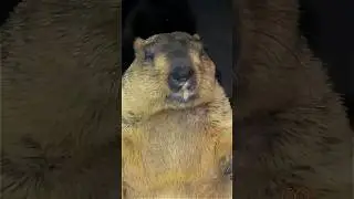 Какой-то злой мужик.
