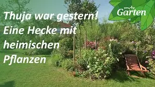 Instead of Thuja: Designing a mixed hedge | Natural garden | MDR Garden
