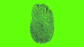 100 Finger prints / FREE Green screen / Full HD 1080P
