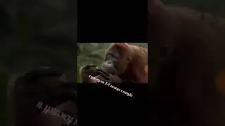Внимание❗❗❗❗❗❗❗