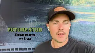 Card pull #1 | Total plot failure | Vlog #1
