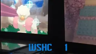 47 - (WSHC 1) Live Shiny Gurdurr