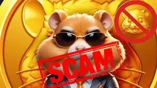 НОВОСТЬ ОТ HAMSTER‼️ ХОМЯК ВСЕ?❌