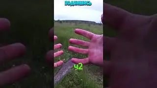 Рыбалка СОМ НА 25 КГ ч2 #shorts Рыбак Подпишется!😍