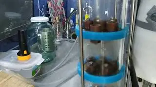 Мойка медной колпачковой колонный с Aliexpress