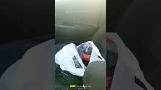 кола
