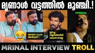 ഞാൻ ഈച്ചയെ വളർത്താറില്ല 🙂|Hungry Mrinal troll|Troll malayalam