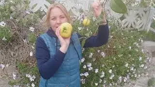 Идеальных женщин не бывает.