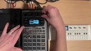 SP404 mk2 73.1- Recording Ambient Loops