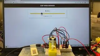 Reversing Slider DC Motor