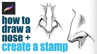 How to Draw a Nose and Create a Procreate Stamp Brush