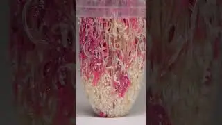 A new marker activate the ink flow up close 