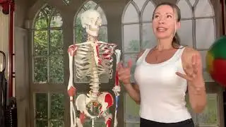4 упражнения для снятия напряжения в спине, плечах и шеи.