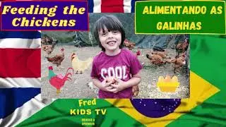 Alimentando as galinhas l Feeding the Chickens  