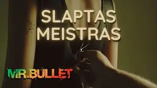Mr.Bullet - SLAPTAS MEISTRAS