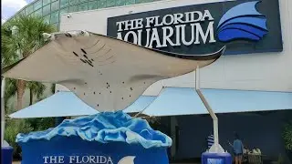The Florida Aquarium in Tampa