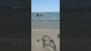 A minute by the sea.