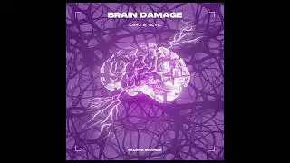 LS41 & SLVL - Brain Damage