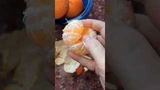 Как СДЕЛАТЬ КИСЛЫЕ МАНДАРИНЫ СЛАДКИМИ за 30 секунд 👍 Запищите от Восторга