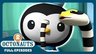 ‪@Octonauts‬