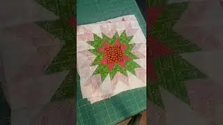 The tiny blessings quilt. So pretty!   #quilting #shorts