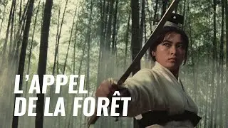 Sélection thématique : L'Appel de la forêt