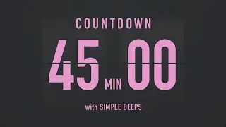 45 Minutes Countdown Flip Clock Timer / Simple Beeps 💕🖤