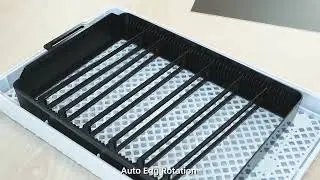 20 Eggs Incubator