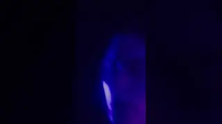 “Oil & Water” visualizer out now.