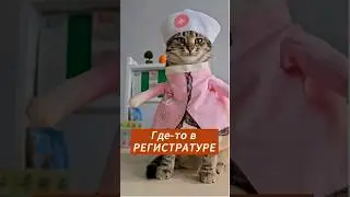 Где-то в регистратуре 