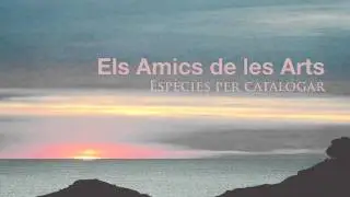 Els Amics de les Arts - Carnaval