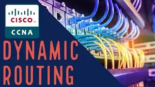 What Are The Various Types Of Routing Protocols?