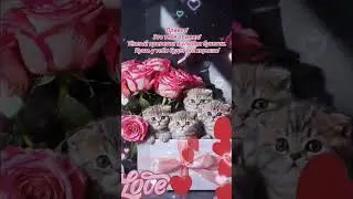 Доброе утро,хорошего дня открытки на каждый день 