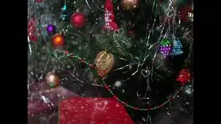 23 ноября 2021 г.