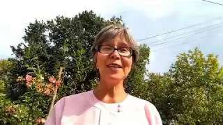 курсы повышения квалификации для преподавателей школ и колледжей