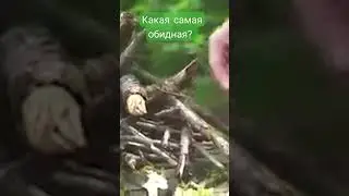 SHORT ОТ КОТОРОГО СТАНОВИТСЯ БОЛЬНО 