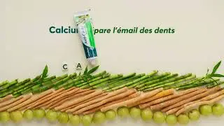 Himalaya Anti Cavity Herbal Toothpaste