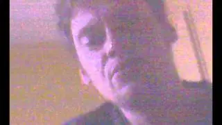 REM PARAKEET.wmv