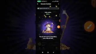 Hamster Kombat Today Combo Cards | Daily Combo Missions 10.06.2024