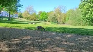 Bygholm Park