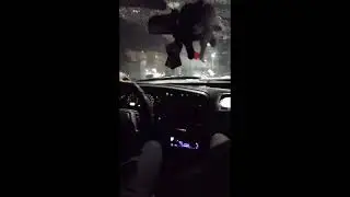 Как на чатырочке (ваз2114 ) банда мухаморов по городу ехала