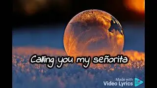 Shawn Mendes & Tainy -  Summer of Love (lyrics)