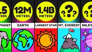 Comparison: The BIGGEST Things In The Universe