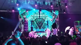 Shpongle - Dorset Perseption на фестивале Зимняя Сказка 2019