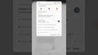 Remover aplicativo e instalar novamente via APK.